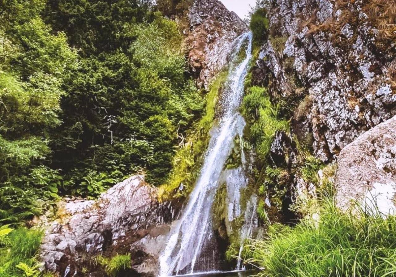Vale Do Zezere Hotel مانتيغاز المظهر الخارجي الصورة